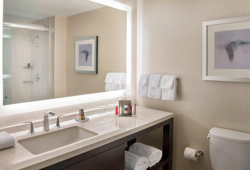 اتاق استاندارد با تخت دوبل, Marriott Downtown At Cf Toronto Eaton Centre