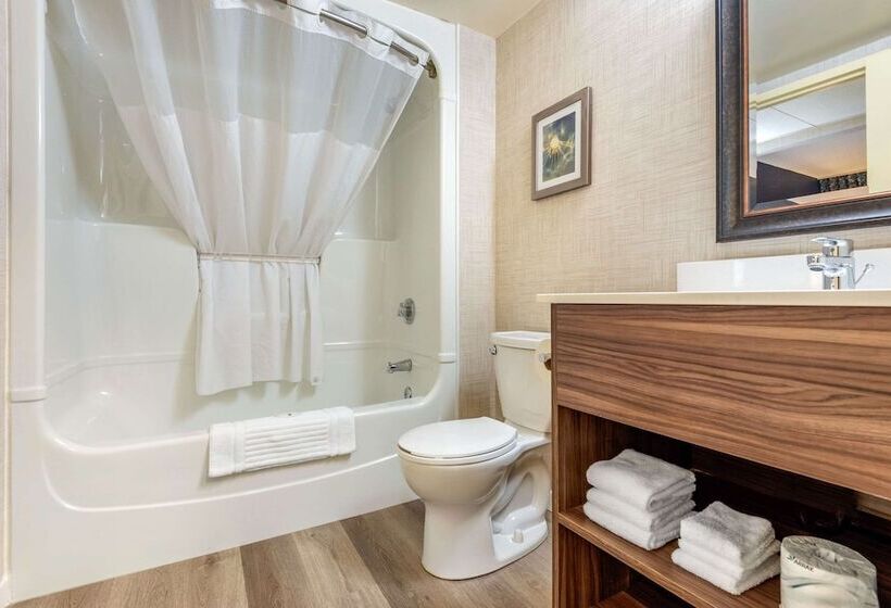 غرفه قياسيه سريرين مزدوجين, Quality Suites  Whitby