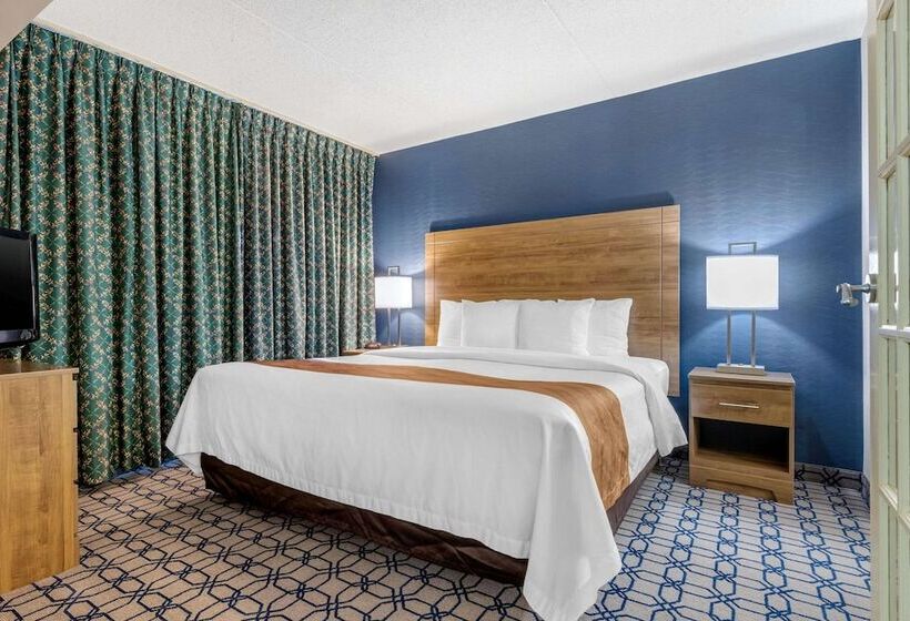 سوئیت با تخت بزرگ, Quality Suites