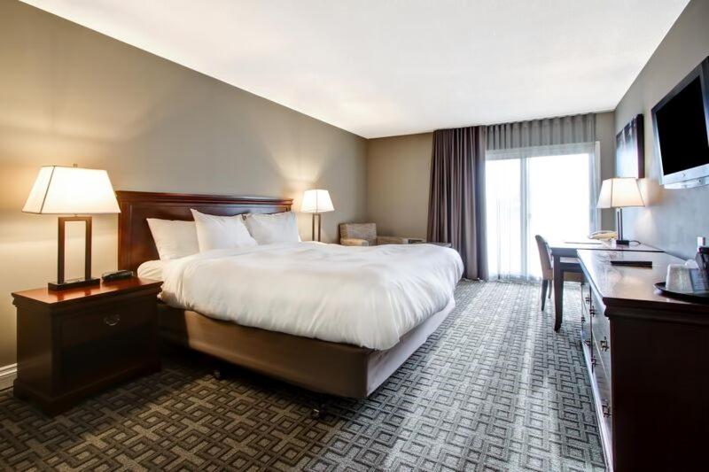 اتاق استاندارد با تخت بزرگ, The Inn Of Waterloo