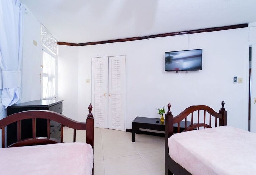 سوئیت جونیور با چشم‌انداز, Franklyn D Resort & Spa All Inclusive