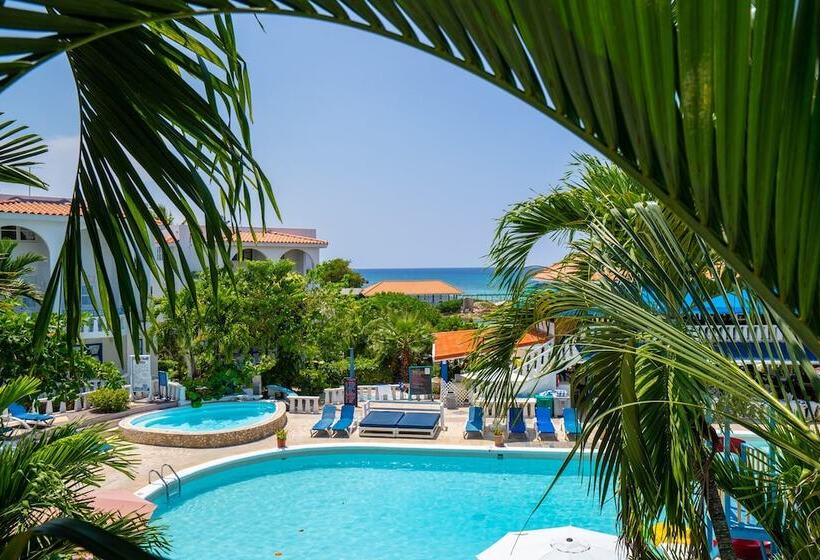 سوئیت جونیور با چشم‌انداز, Franklyn D Resort & Spa All Inclusive