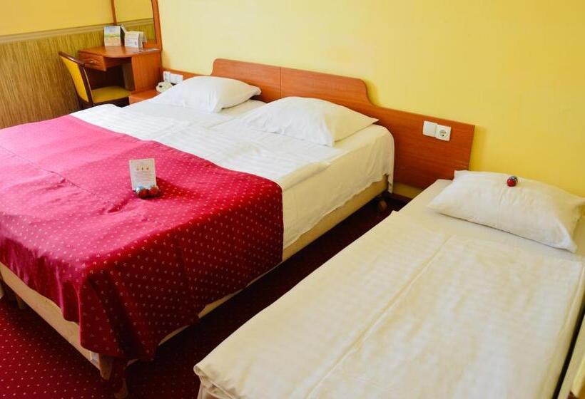 اتاق استاندارد, Korona Wellness, Rendezvény és Borszálloda
