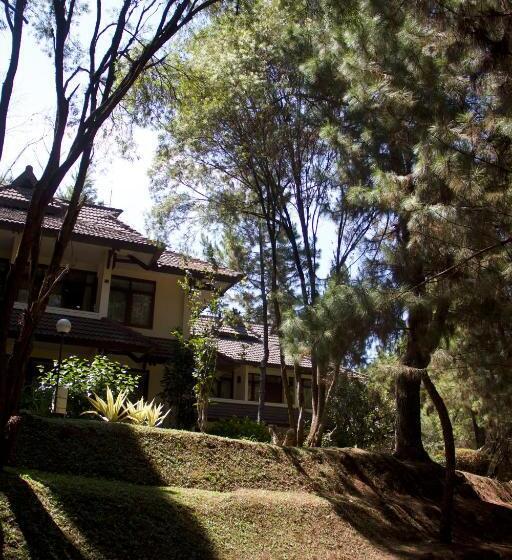 اتاق لوکس, Puteri Gunung