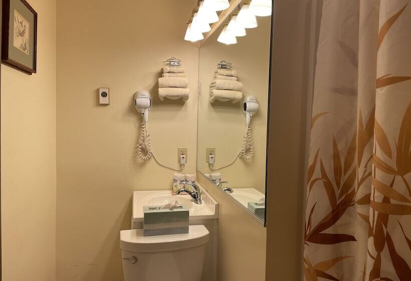 Номер Economy, Oasis Guest House