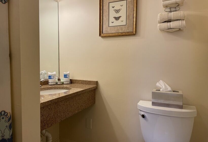 Номер Стандарт, Oasis Guest House