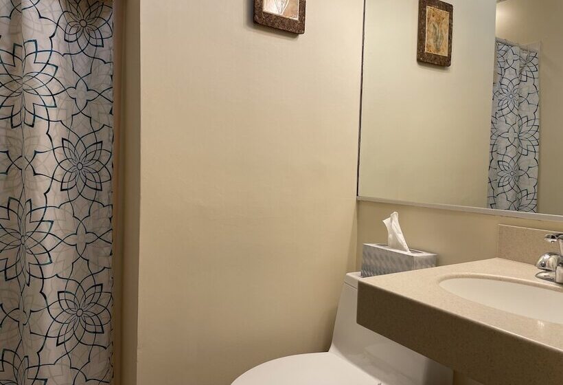 Номер Стандарт, Oasis Guest House