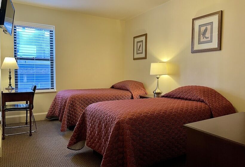 Номер Стандарт, Oasis Guest House