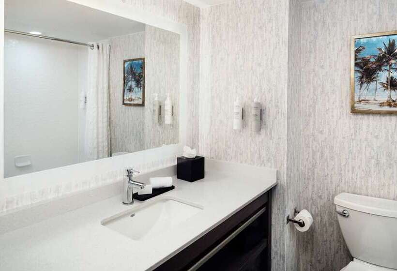سوییت, Embassy Suites By Hilton Chicago Downtown River North