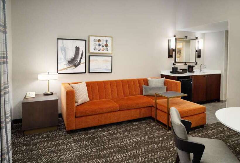سوییت, Embassy Suites By Hilton Chicago Downtown River North