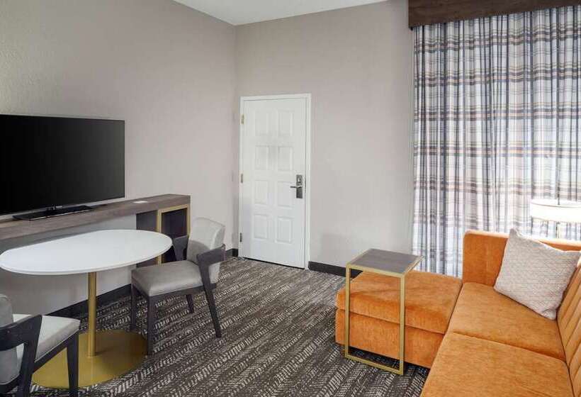 سوییت, Embassy Suites By Hilton Chicago Downtown River North