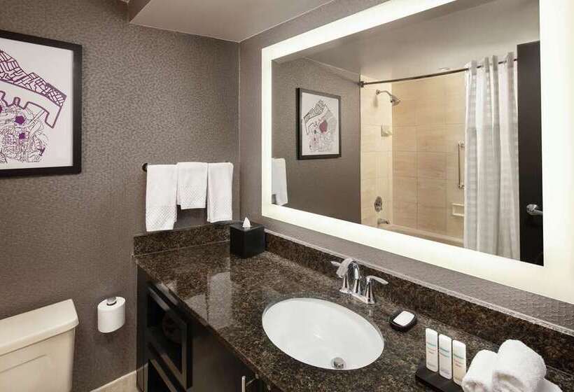 سوییت, Embassy Suites By Hilton Chicago Downtown River North