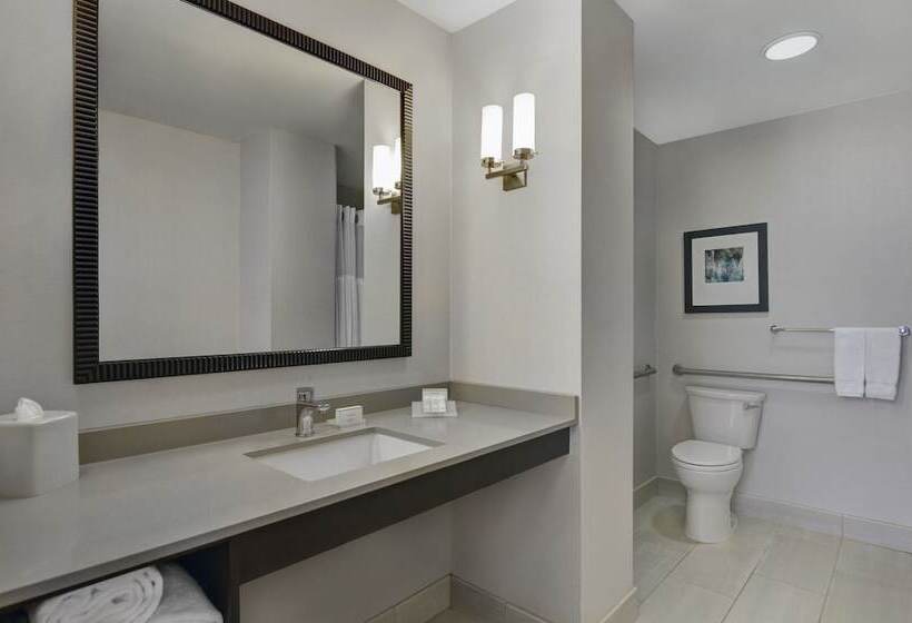 سوییت, Embassy Suites By Hilton Chicago Downtown River North