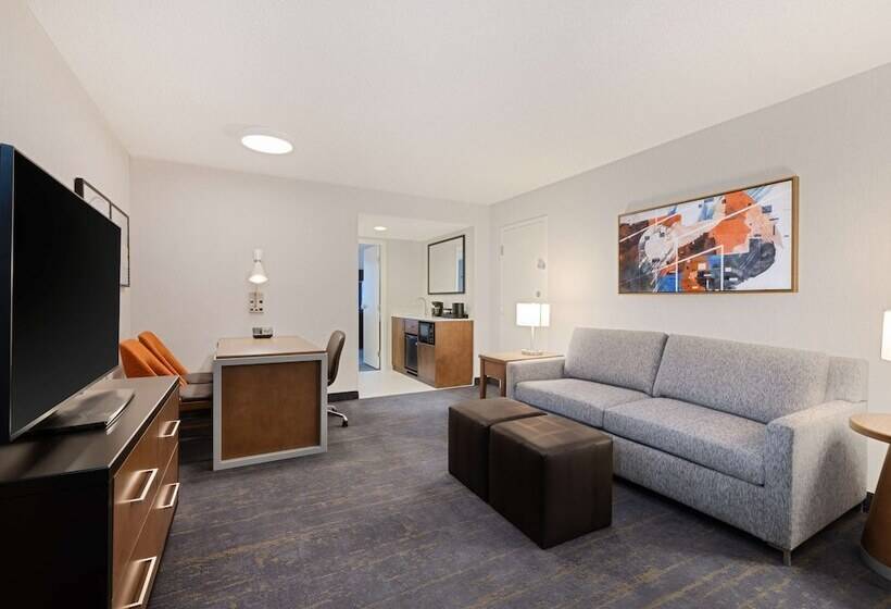 سوئیت 2 خوابه, Embassy Suites By Hilton Chicago Downtown River North