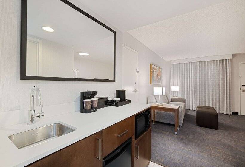 سوئیت 2 خوابه, Embassy Suites By Hilton Chicago Downtown River North