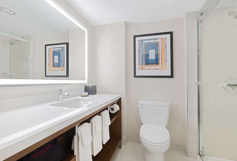 مجموعه ویستا شهر, Embassy Suites By Hilton Chicago Downtown River North