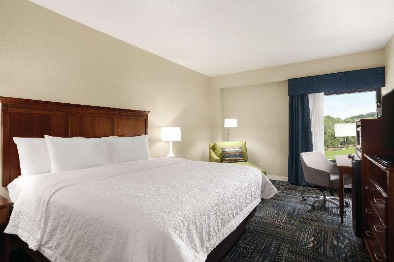 اتاق استاندارد با تخت بزرگ, Hampton Inn Atlanta/stone Mountain