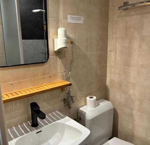 اتاق راحتی یک تخته, Hôtel & Restaurant Le Patio Vichy