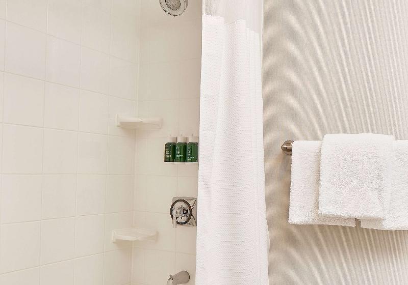 اتاق استاندارد با تخت بزرگ برای معلولان, Quality Inn Greenville Near University
