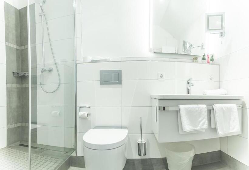 اتاق استاندارد, Akzent Hotel Atrium Baden
