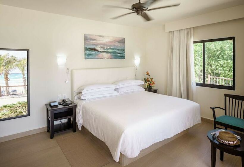 수피리어 룸, Allegro Playacar   All Inclusive Resort