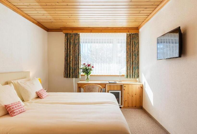 اتاق کلاسیک, Europa Suites St Moritz