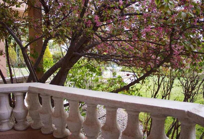 اتاق استاندارد, Forest Villas