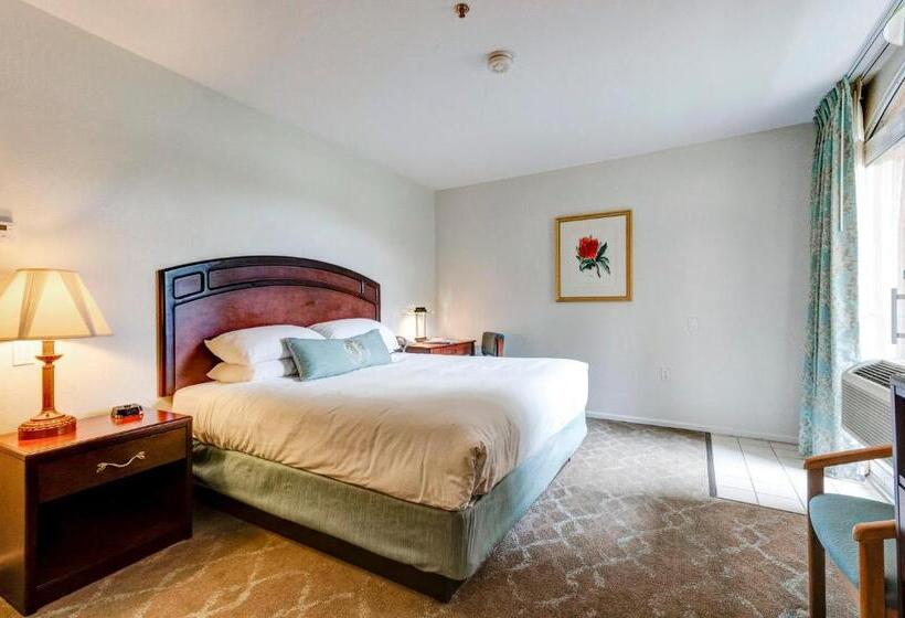 اتاق استاندارد با تخت بزرگ برای معلولان, Forest Villas