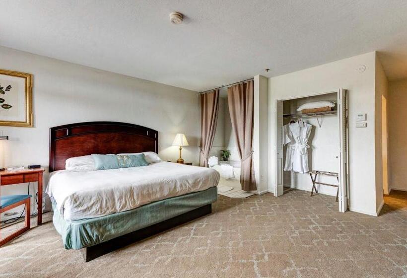 اتاق لوکس با تخت بزرگ, Forest Villas