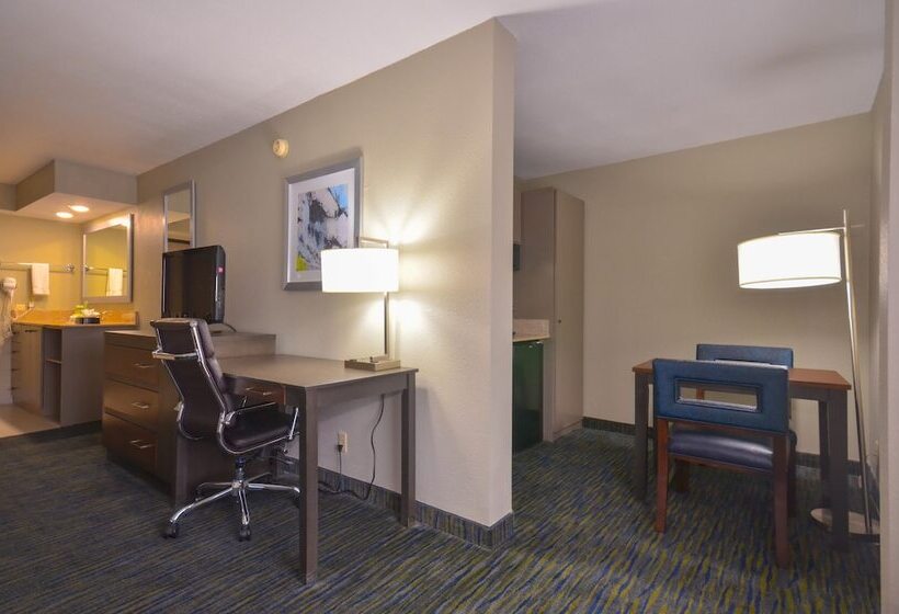 StandaardKamer, Holiday Inn Express & Suites Fayetteville University Of Arkansas Area, An Ihg