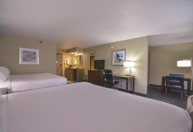 Standaardkamer met Kingsize Bed, Holiday Inn Express & Suites Fayetteville University Of Arkansas Area, An Ihg