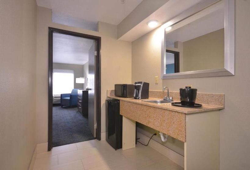 اتاق استاندارد با تخت بزرگ, Holiday Inn Express & Suites Fayetteville University Of Arkansas Area, An Ihg