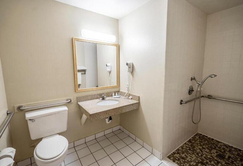 Standard Room Adapted for people with reduced mobility, Modesto Salida