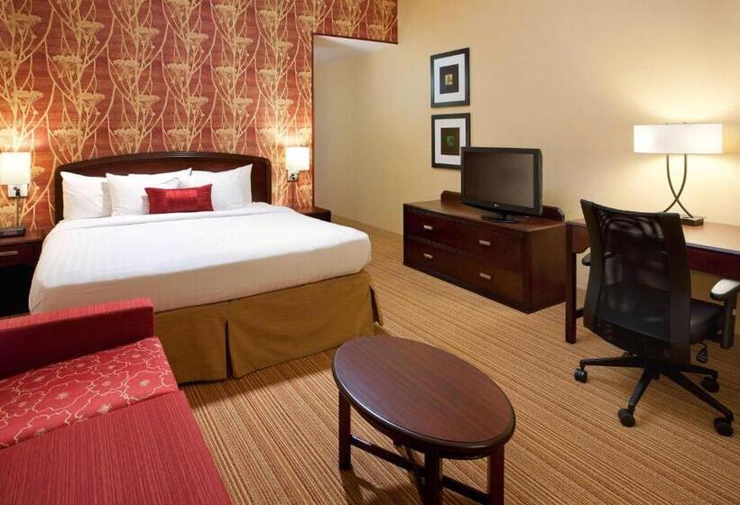اتاق استاندارد با تخت بزرگ برای معلولان, Sonesta Select Las Vegas Summerlin