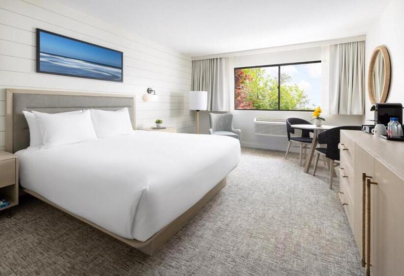 اتاق استاندارد با تخت بزرگ, The Pell, Part Of Jdv By Hyatt