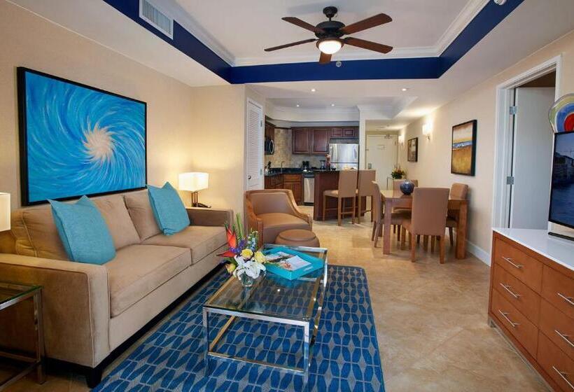 Suite, Divi Aruba Phoenix Beach Resort