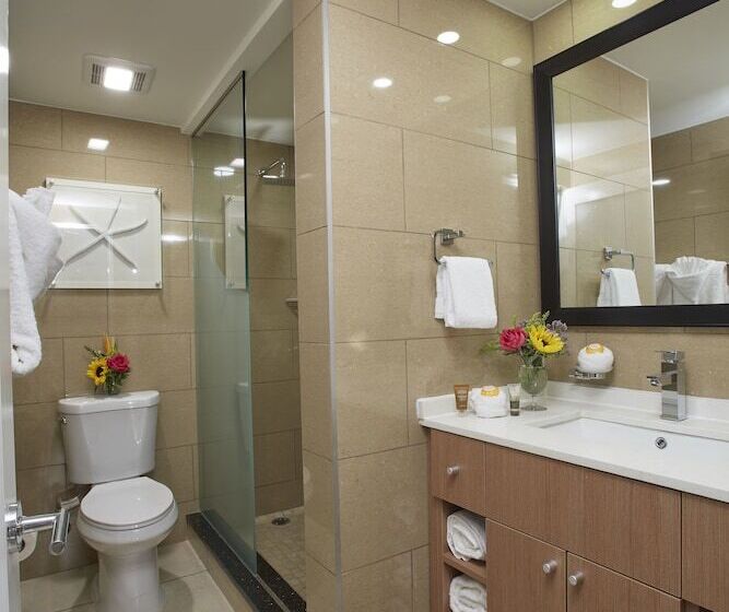 استودیوی استاندارد, Divi Dutch Village Beach Resort