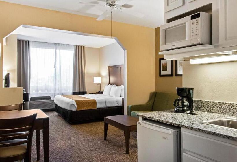 سوئیت با تخت بزرگ, Comfort Suites Maingate East Kissimmee