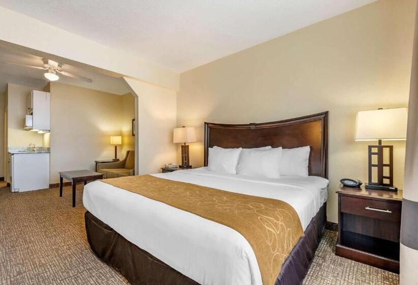 سوئیت با تخت بزرگ, Comfort Suites Maingate East Kissimmee