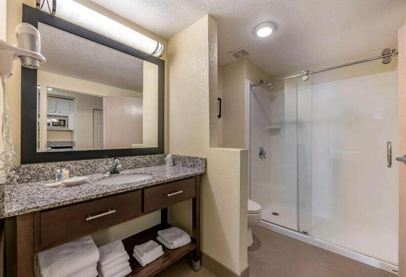 سوییت, Comfort Suites Maingate East