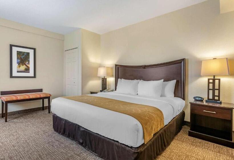سوئیت با تخت بزرگ, Comfort Suites Maingate East