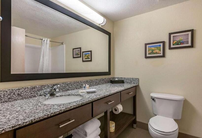 Suite Adapted for people with reduced mobility, Comfort Suites Maingate East Kissimmee