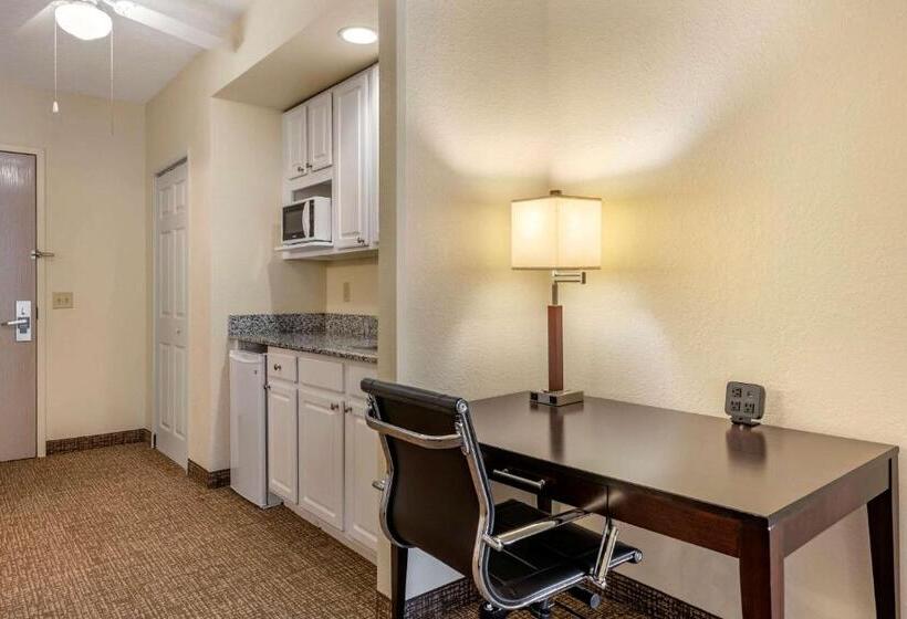 سوییت, Comfort Suites Maingate East