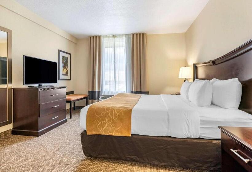 Suite, Comfort Suites Maingate East Kissimmee