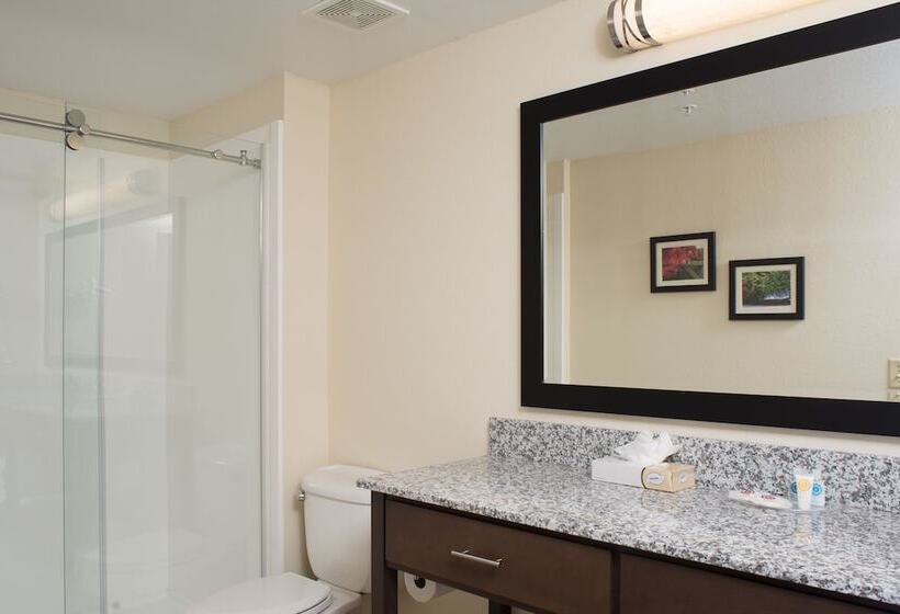 سوییت, Comfort Suites Maingate East