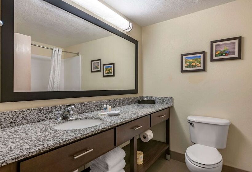 سوئیت برای معلولان, Comfort Suites Maingate East
