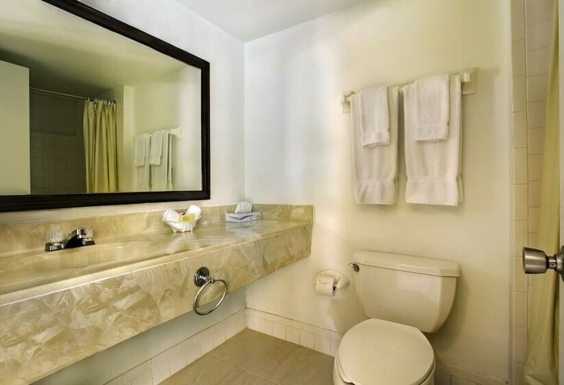 اتاق سوپریور با تخت بزرگ, Viva Fortuna Beach By Wyndham, A Trademark All Inclusive
