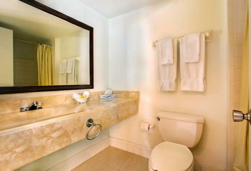 اتاق سوپریور با چشم‌انداز دریا, Viva Fortuna Beach By Wyndham, A Trademark All Inclusive
