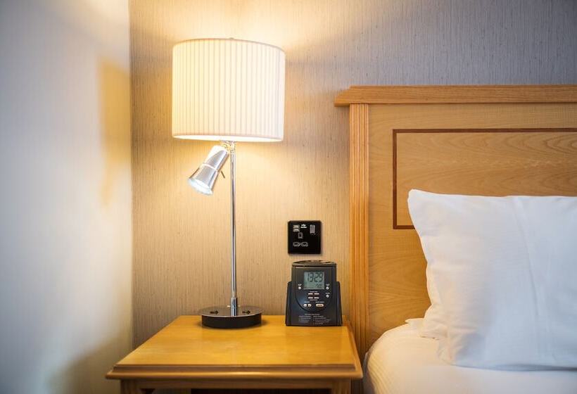 Habitación Deluxe, Doubletree By Hilton  Swindon