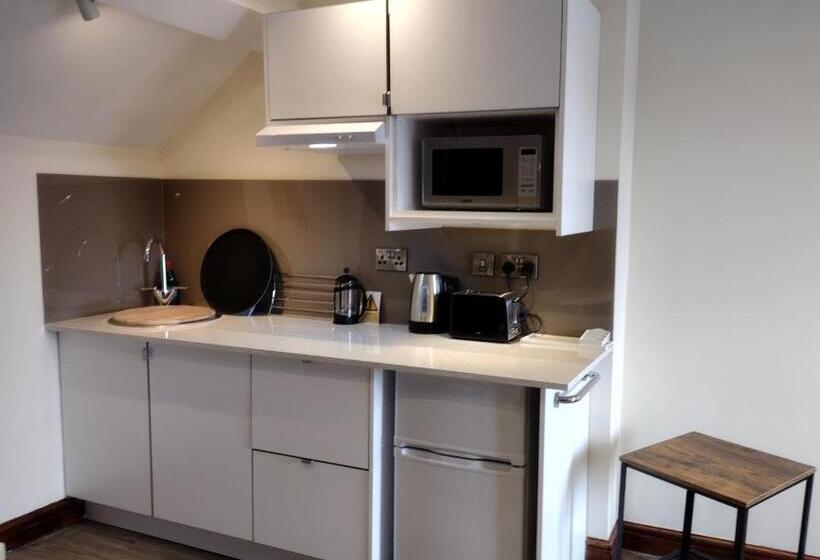 استودیوی استاندارد, Lion Hotel & Studio Apartments